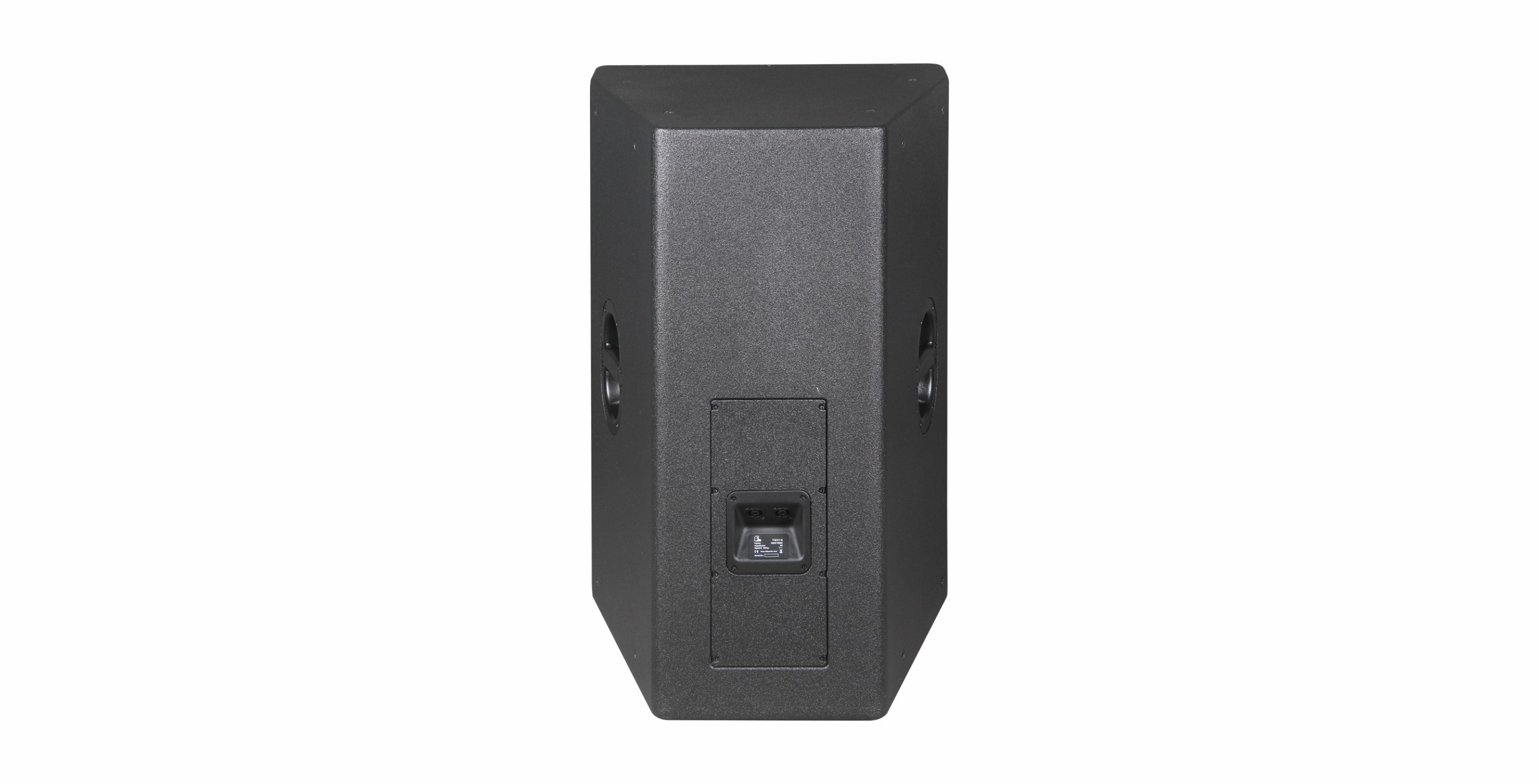 Góc nhìn khác của loa TH315 - FDB Audio